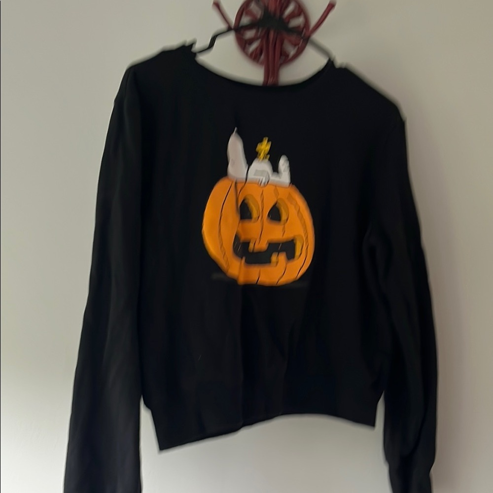 Gently Used Peanuts  Halloween Pumpkin Sweatshirt